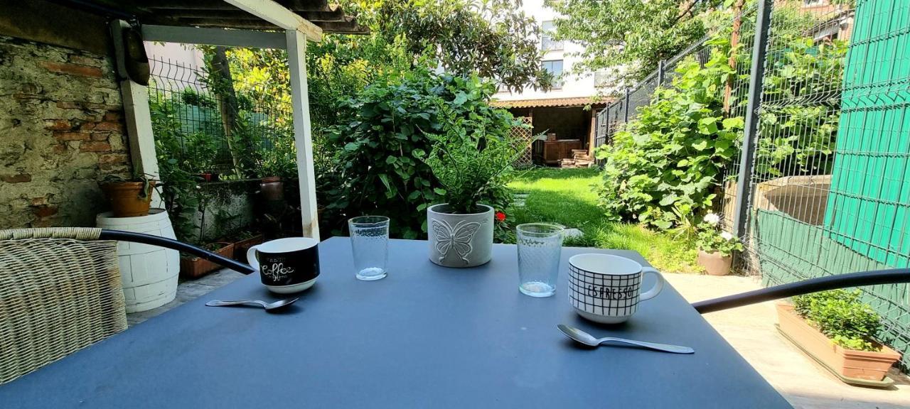 Studio Simone - Terrasse Et Jardin - Tv - Wifi Toulouse Bagian luar foto