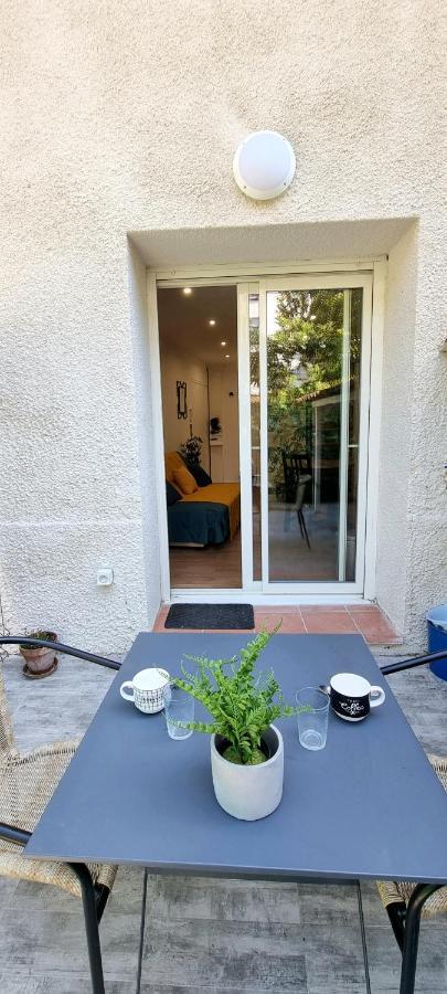 Studio Simone - Terrasse Et Jardin - Tv - Wifi Toulouse Bagian luar foto